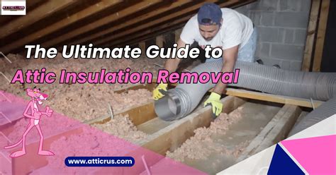 The Ultimate Guide To Attic Insulation Removal A Step By Step Process