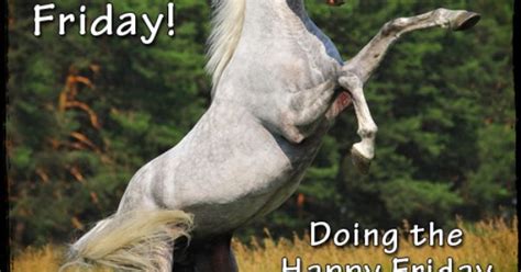 Wahoo Its Friday Doing The Happy Friday Dance Horse Sayings