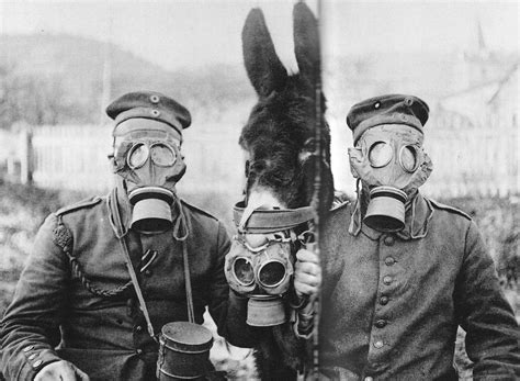 Progress Is Fine But Its Gone On For Too Long Gas Masks On French