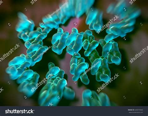 3d Rendering Campylobacter Jejuni Bacteria Stock Illustration 640974463