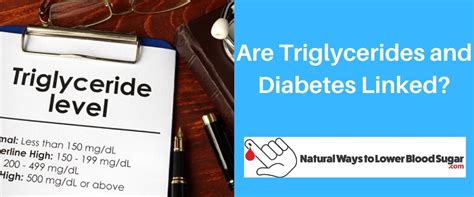 Are Triglycerides And Diabetes Linked Heres The Answer