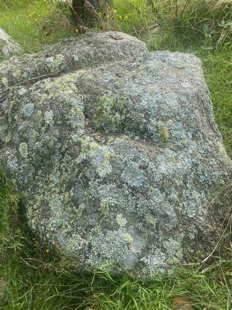 Mossy Granite Boulders Stone Life Australian Natural Stone