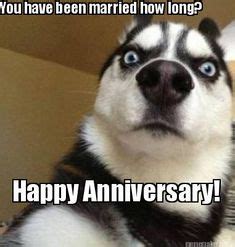 These memes are vastly superior to generic dog meme, and dogs agree that these memes are inadequate to the bone. 16 Best happy anniversary funny images | Words, Diy ...