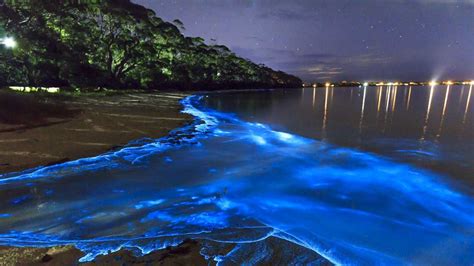 17 Most Stunning And Rare Natural Phenomena That Occur On Earth