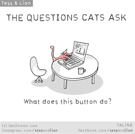 The Questions Cats Ask What Does This Button Do Cat Jokes Funny Dog