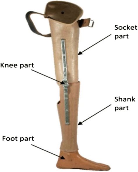 Above Knee Amputation Indication Exercise Prosthesis