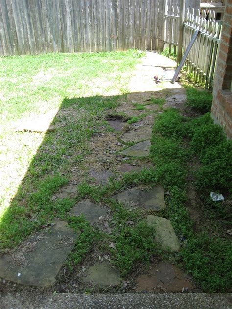 Add a whimsical and fun design element to your backyard with a potted fairy garden. Bridget and Bear: Project: Backyard walkway