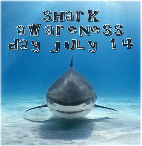 Awareness Is Always A Good Thing Especially With Sharks 0714 Days