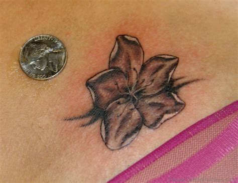 58 Brilliant Amaryllis Flower Tattoos