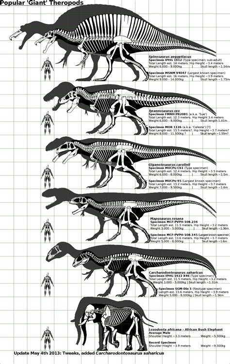 Largest Dinosaurs Prehistoric Wiki