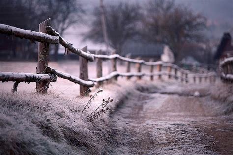 Landscapes Nature Winter Snow Fences Roads Frost Depth Of Field