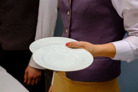 The Waitress Holding An Empty White Plates Stock Image Image Of Dish