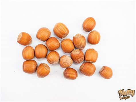 Buy Raw Hazelnut In Shell Shell Raw Hazelnut IE Nutty Delights