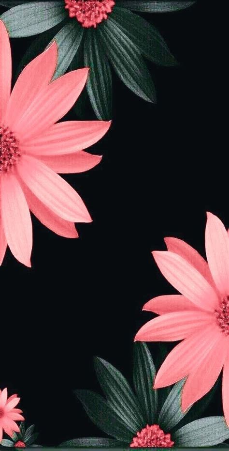 One of many great free stock photos from pexels. Floral wallpaper | Flower background | lock screen wallpaper | Flower background wallpaper, Pink ...