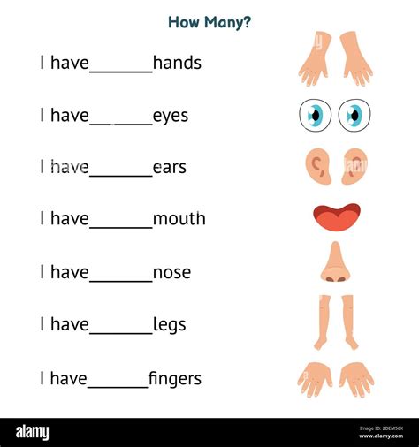 Body Parts With Pictures Body Parts Match Words And Pictures