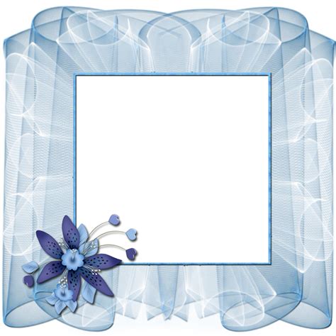 Beautiful Transparent Blue Frame With Flower Cadre Fleur Cadres Fleurs