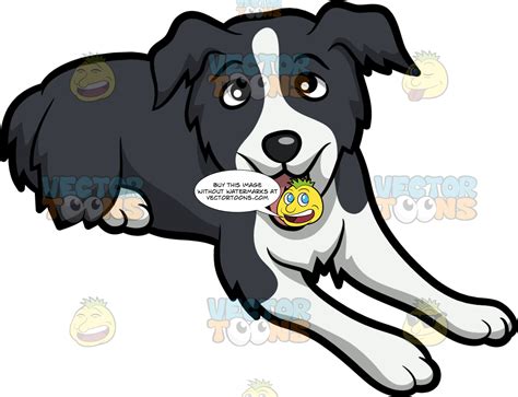 A Cute Border Collie Puppy Clipart Cartoons By Vectortoons