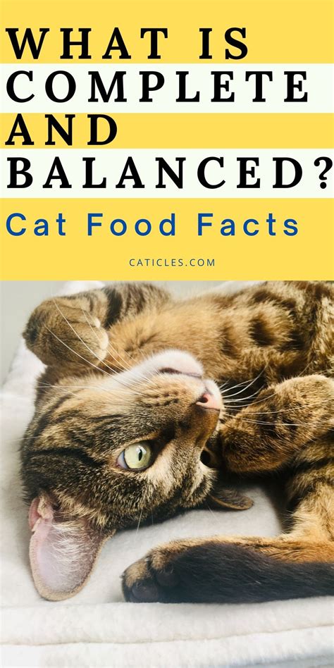 The last cat food to make our list of the best cat food brands is this nature's logic feline beef feast. What are AAFCO Feeding Trials for Cat Food? - Caticles