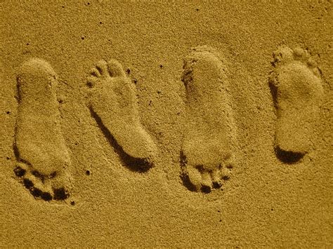 Footprint Foot Print Sand Beach Footstep Goofy Walk Imprint