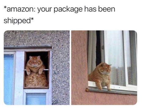 Meme Waiting On Package - MESJEME