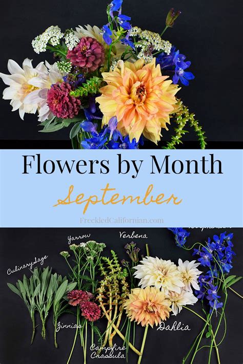 We rounded up the best picks for each month of the year. September 2019~ Seasonal Flower Series | Seasonal flowers ...