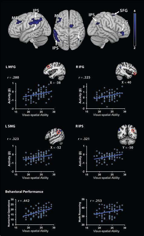 Brain Areas Associated With Visuo Spatial Component Of Working Memory