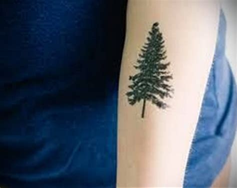 Tattoo Spruce 25112019 №038 Tattoo Spruce