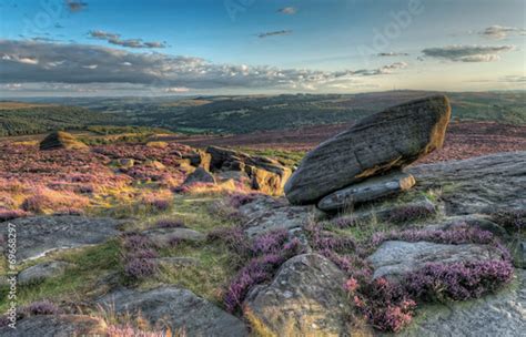 Sunset At Moorland Heather In Bloom Over The Rugged Moor Stock 写真