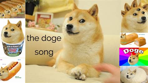 Doge is our fun, friendly mascot! the Doge song - YouTube