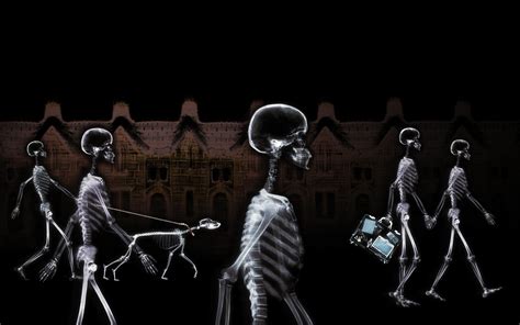 Dark Skeleton HD Wallpaper By Naomi Voxeed