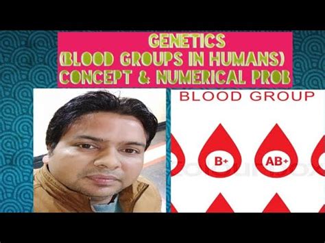 Alleles can be recessive, dominant or codominant genes. Blood group (GENETICS), CODOMINANCE, MULTIPLE ALLELISM ...