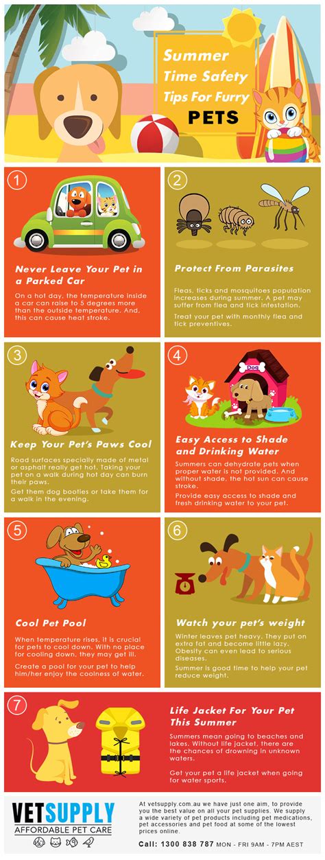 Pet Safety Tips To Follow This Summer Vetsupply