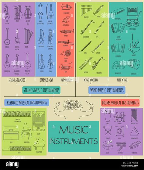 instruments de musique modèle graphique tous les types d instruments de l infographie vector