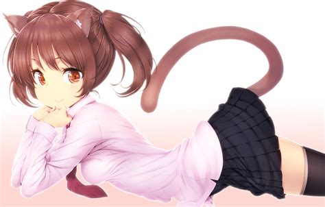 Wallpaper Illustration Anime Girls Cat Girl Animal Ears Tail