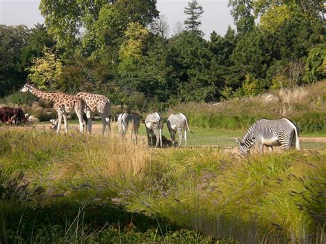 Parc Zoologique De Thoiry Parc Thoiry