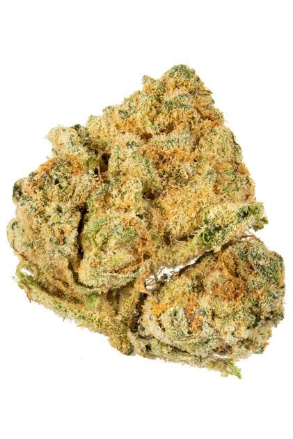 Cookie Crunch Strain Hybrid Cannabis Video Thc Terpenes Hytiva