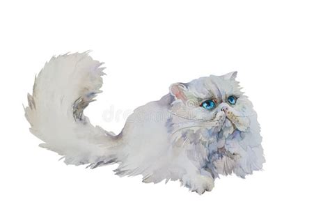 persian cat stock illustrations 5 669 persian cat stock illustrations vectors and clipart