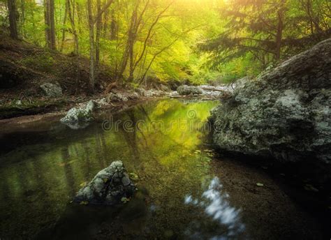 Beautiful Nature With A River Of Rocks And Forest Outdoor Colorful