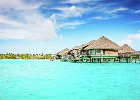 Bora Bora Luxury Dream Holiday Greeting Card By Mlenny