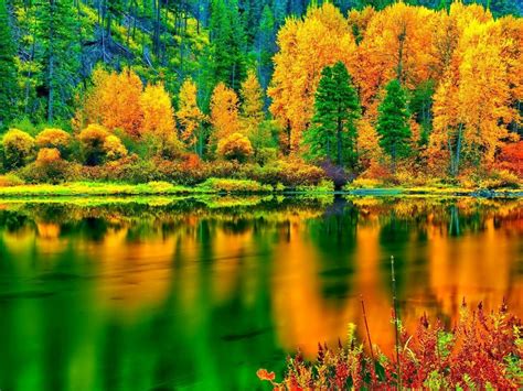 Breathtaking Autumn Colors Hd Desktop Wallpaper