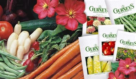 Gurneys Seed And Nursery Catalog Finegardening