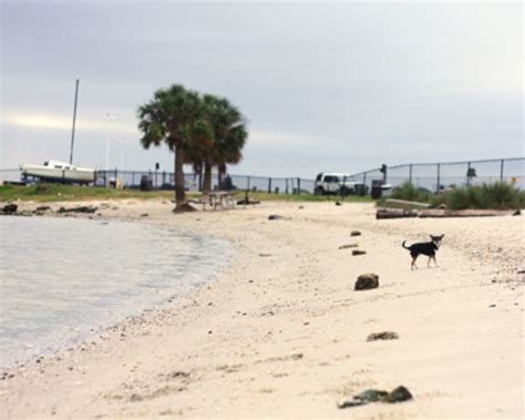 Health Advisory Issued For Davis Island Ben T Davis Beaches Tampa