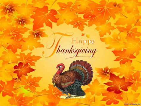 Tons of awesome free happy thanksgiving wallpapers to download for free. 72+ Thanksgiving Turkey Wallpaper on WallpaperSafari