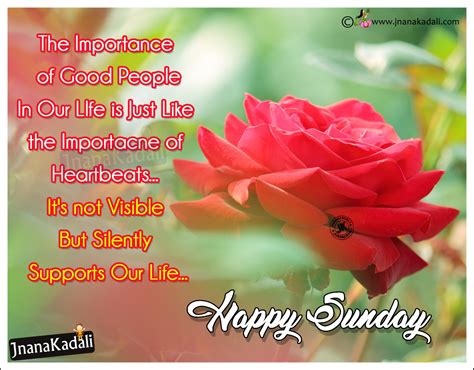 Best Happy Sunday Quotes Best People Quotes In English