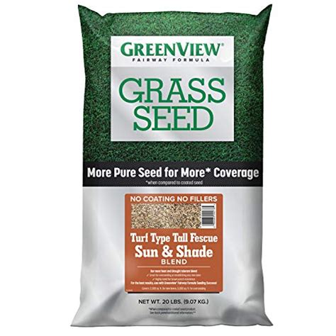 Top 10 Turf Type Tall Fescue Grass Seed Sretso