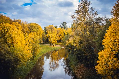 River Surrounded By Trees · Free Stock Photo