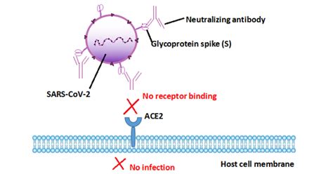 Neutralizing Antibody Stands Out Among Antiviral Therapies