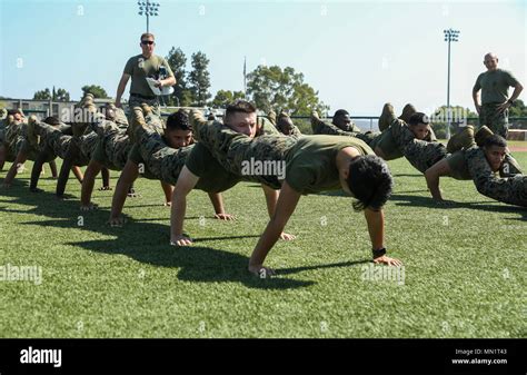 Squad Push Ups Hi Res Stock Photography And Images Alamy