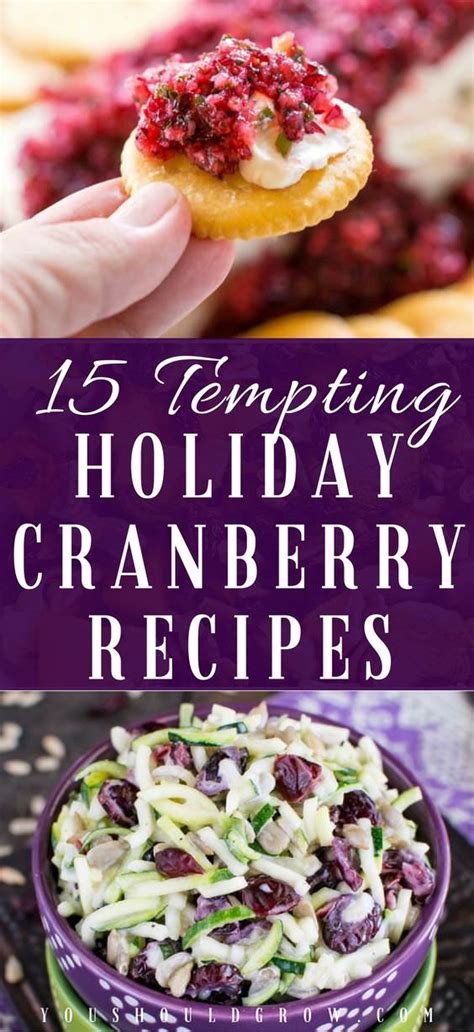 Tasty And Tempting Holiday Cranberry Recipes ⋆ Food Curation