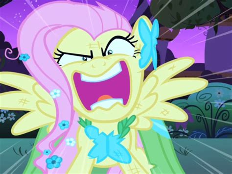 At The Grand Galloping Gala My Little Pony Episodes Fluttershy My